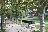 Andrézieux - Allée de Platanes