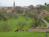 Vue Générale