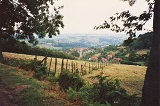 Vue Panoramique