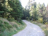 Route Foresti�re