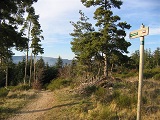 GR42 à la Cartara