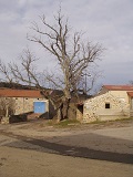 Le Sully