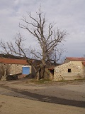 Le Sully