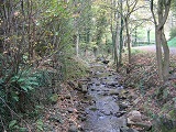 Rivière le Cotatay
