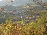 Vue de Champoly en descendant d'Urf�