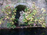 Le Ch�teau - la Fontaine
