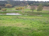 Bransiecq - Etang