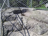 Peyrotine<BR>Emplacement du Moulin