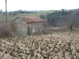 Vigne et sa 