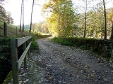 Chemin des bords de la Coise