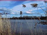 Etang Perrin