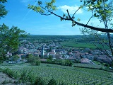 Vue g�n�rale