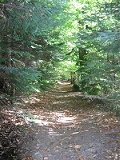 Chemin Forestier