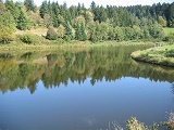 Etang du P�cher