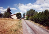Le Picard