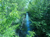 Canal du Forez