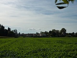 Vue g�n�rale