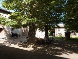 Domaine �questre de Sausselange