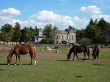Domaine �questre de Sausselange