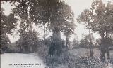Chemin des Calles