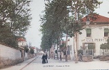 Avenue de Rhins