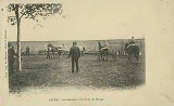 Ancien champ de courses