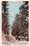 Route de la Jasserie
