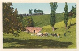 Campagne