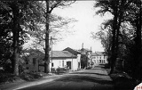 en 1950