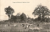 paysage aux environs