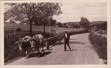 Attelage