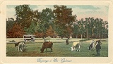 Paysage pastoral