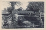 Avenue de Mareuil