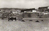 Vue panoramique